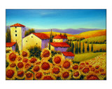 Tuscan Houses and Sunflowers Field Near Marina di Pisa