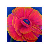 Buy Big Poppy, c.2003 at AllPosters.com
