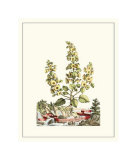 Buy Grandiose View IV at AllPosters.com