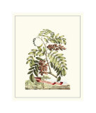Buy Grandiose View I at AllPosters.com