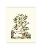 Buy Grandiose View III at AllPosters.com