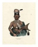 Buy Saukie Chief at AllPosters.com