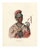 Buy An Ioway Chief at AllPosters.com