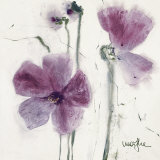 Buy Pansies VI at AllPosters.com