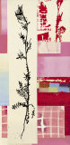 Buy Descorania Sophiodes at AllPosters.com
