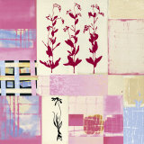 Buy Myosotis at AllPosters.com
