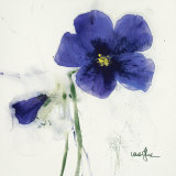 Buy Pansies IV at AllPosters.com