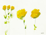 Untitled III