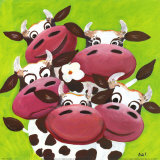 Herd