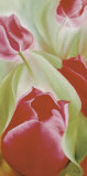 Buy Tulips II at AllPosters.com