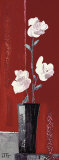 Buy White Roses at AllPosters.com