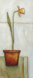 Buy The Blossom at AllPosters.com