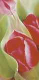 Buy Tulips I at AllPosters.com