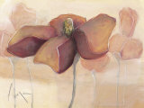 Buy Red Magic Flower at AllPosters.com