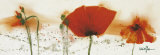 Buy Poppies in the Wind IV at AllPosters.com
