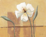 Buy Bloom I at AllPosters.com