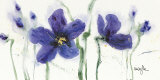 Buy Pansies VIII at AllPosters.com