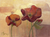 Buy Poppy Dream at AllPosters.com