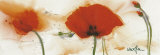 Buy Poppies in the Wind III at AllPosters.com