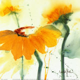 Sunflower V