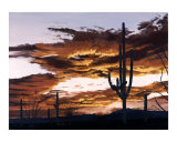 Buy Sunset with Saguaro II at AllPosters.com