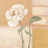 Buy Wild Rose at AllPosters.com