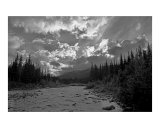 Buy Riley Creek at AllPosters.com