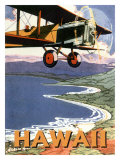Hawaii, Sight Seeing by Air