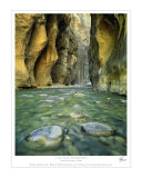 Buy Zion Narrows at AllPosters.com