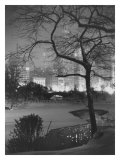 Buy Winter at Night, New York, Central Park at AllPosters.com