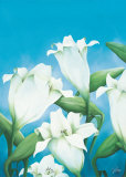 Fresh Lilies
