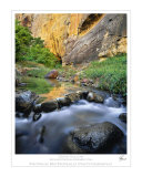 Buy Death Hollow at AllPosters.com