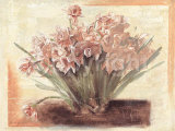 Buy Bunch of Narcissus at AllPosters.com