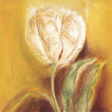 Buy Glowing White Tulip at AllPosters.com
