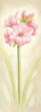 Buy Pleasure at AllPosters.com