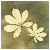 Buy Horse Chestnut Leaf at AllPosters.com