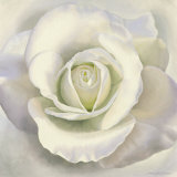 White Innocence