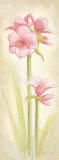 Buy Fun at AllPosters.com