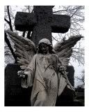 Buy I look down upon you at AllPosters.com