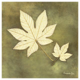 Buy Maple Leaf at AllPosters.com