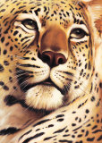 Rest on Serengeti