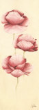 Graceful II