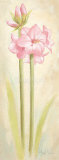 Buy Joy at AllPosters.com
