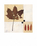 Buy Indian Summer at AllPosters.com