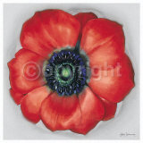 Buy Wheel of Love at AllPosters.com