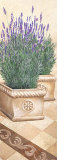 Buy Lavanda Profumata at AllPosters.com