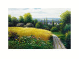 Buy Corn Field at AllPosters.com