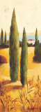 Buy Montecastello I at AllPosters.com