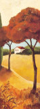 Buy Montecastello III at AllPosters.com