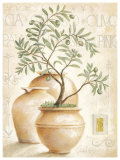 Buy Olive at AllPosters.com